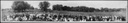 1916 UDELC Convention Harlan IA.jpg