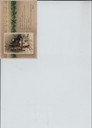 scan-4725.jpg