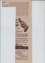 scan-4748.jpg