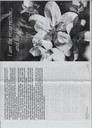 scan-4774.jpg