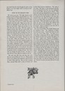 scan-4880.jpg