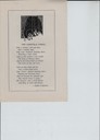 scan-5137.jpg