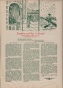 scan-5311.jpg