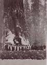 scan-6063.jpg