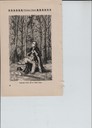 scan-7290.jpg