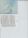 scan-7434.jpg