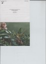 scan-7440.jpg