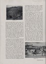scan-8218.jpg
