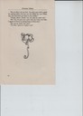scan-9797.JPG