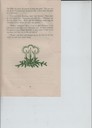 scan-10030.JPG