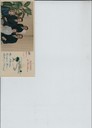 scan-8679.JPG