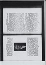 scan-11196.JPG