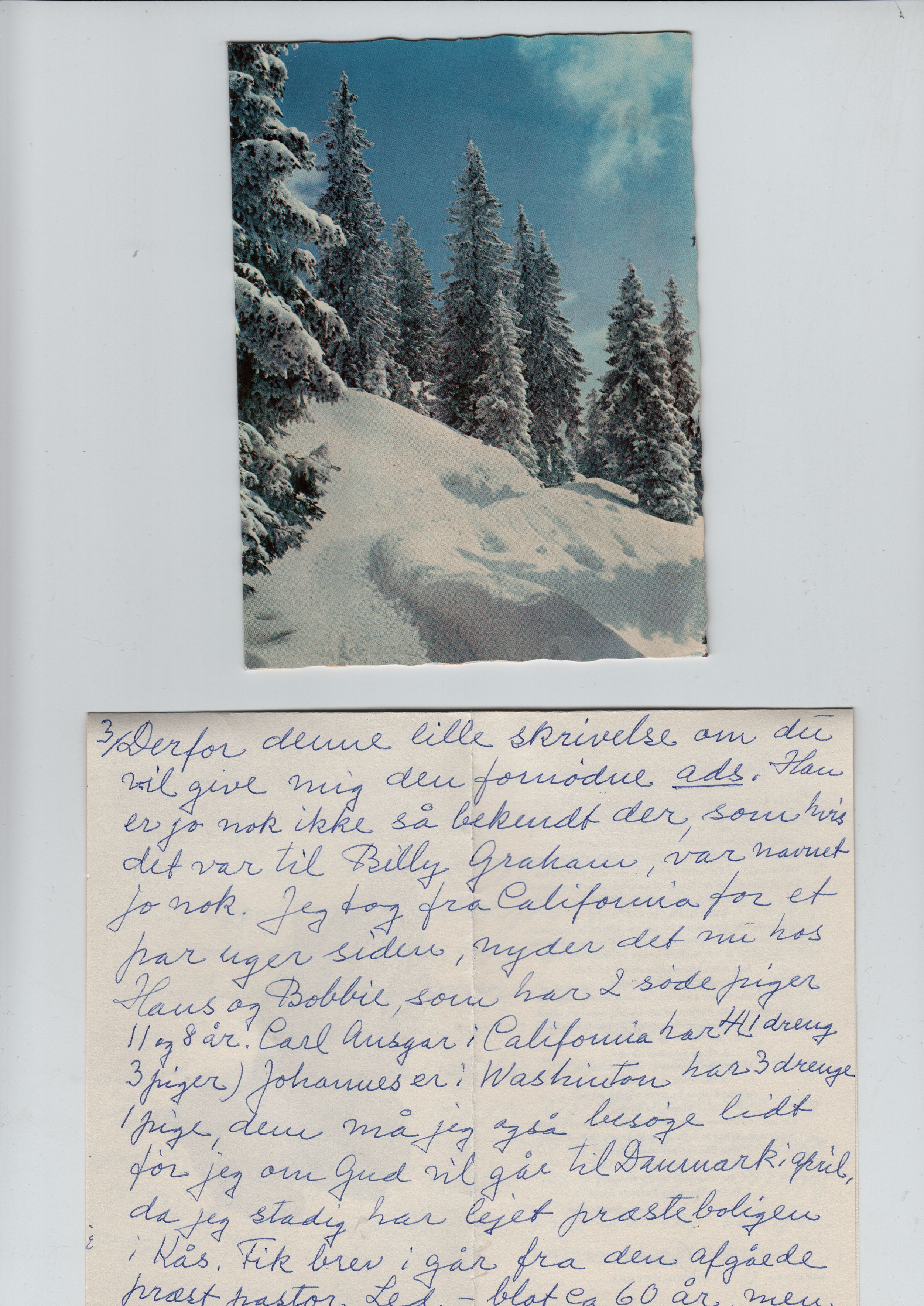 scan-2185.jpg