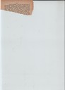 scan-14570.JPG