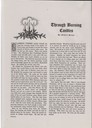 scan-14608.JPG