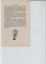 scan-14618.JPG